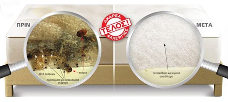 ακάρεα ακάρεα