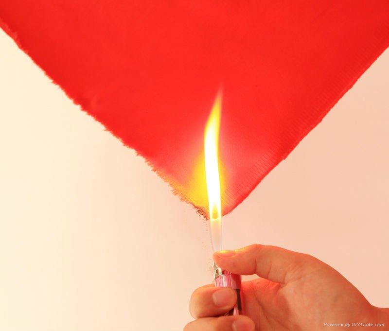 βραδυφλεγία