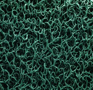 Terra_8100__1____4d696c214fd48