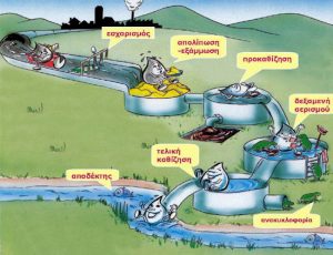 anim._biologikos_katharismos