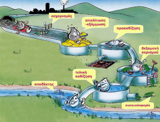 anim._biologikos_katharismos