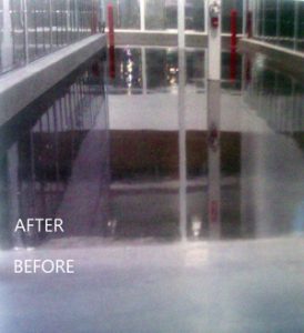 300px-IMAG0354-CROPPED-COLOR-ADJUSTED