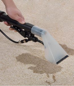 ΥΠΗΡΕΣΙΕΣ ΟΙΚΟΛΟΓΙΚΟΥ ΒΙΟΚΑΘΑΡΙΣΜΟΥ